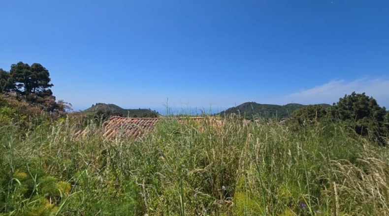 Santa Cruz de Tenerife - Llano Negro - 13450m2