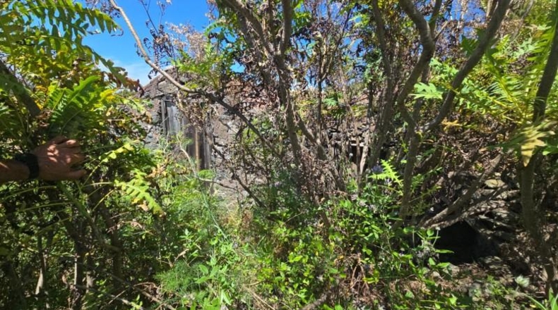 Santa Cruz de Tenerife - Llano Negro - 13450m2