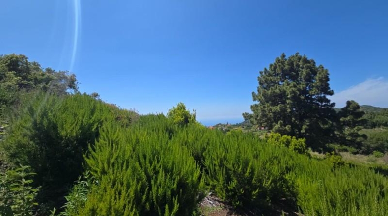 Santa Cruz de Tenerife - Llano Negro - 13450m2