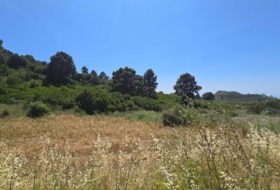 Hoya Grande 13450&nbsp;m² 