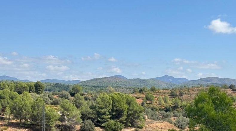 Castellón - Jérica - 74458m2