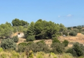 Terreno no urbanizable en venta en la España, Jérica, ref: TR362013 foto