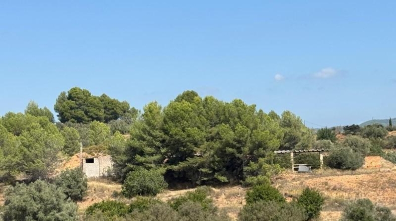 Castellón - Jérica - 74458m2