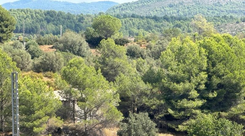 Castellón - Jérica - 74458m2