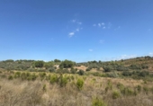Terreno no urbanizable en venta en la España, Jérica, ref: TR362013 foto