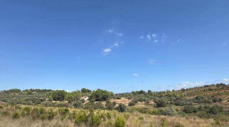 Castellón - Jérica - 74458m2