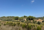 Terreno no urbanizable en venta en la España, Jérica, ref: TR362013 foto