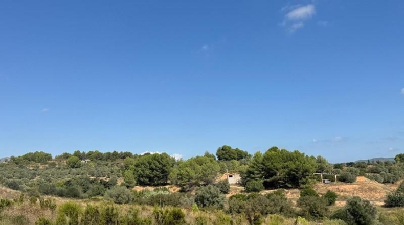 Castellón - Jérica - 74458m2