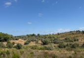 Terreno no urbanizable en venta en la España, Jérica, ref: TR362013 foto