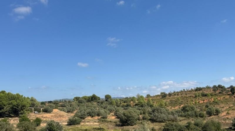 Castellón - Jérica - 74458m2