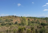 Terreno no urbanizable en venta en la España, Jérica, ref: TR362013 foto