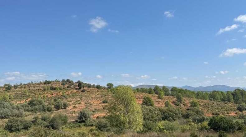 Castellón - Jérica - 74458m2