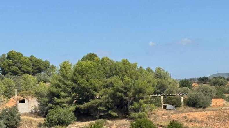 Castellón - Jérica - 74458m2