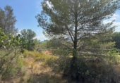 Terreno no urbanizable en venta en la España, Jérica, ref: TR362013 foto