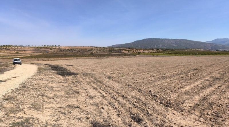 Alicante - Dolores - 35300m2