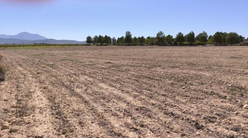 Alicante - Dolores - 35300m2