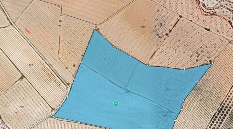 Alicante - Dolores - 35300m2
