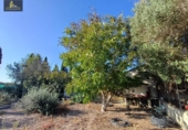 Casa de camp amb terreny en venda a la España, Jerez de la Frontera, ref.: TR355871 foto
