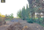 Casa de camp amb terreny en venda a la España, Jerez de la Frontera, ref.: TR355871 foto