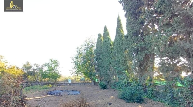 Cádiz - Jerez de la Frontera - 10000m2