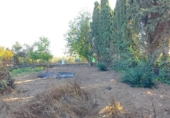 Casa de camp amb terreny en venda a la España, Jerez de la Frontera, ref.: TR355871 foto
