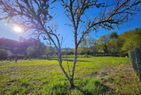 Puenteareas 4500&nbsp;m² 