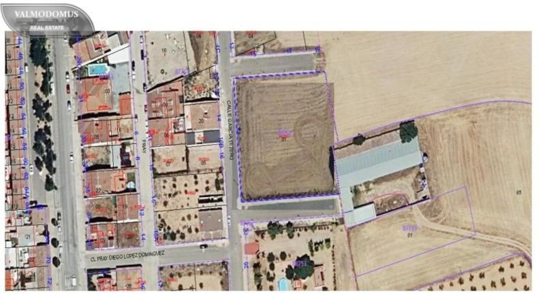 Toledo - Consuegra - 3180m2