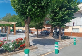 Foto 15