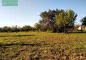Detached villa with land for sale on España, Lloseta, ref: TR139492 photo