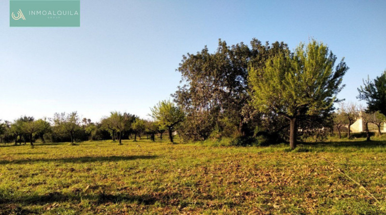 Islas Baleares - Lloseta - 2700m2