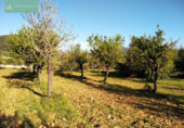 Detached villa with land for sale on España, Lloseta, ref: TR139492 photo