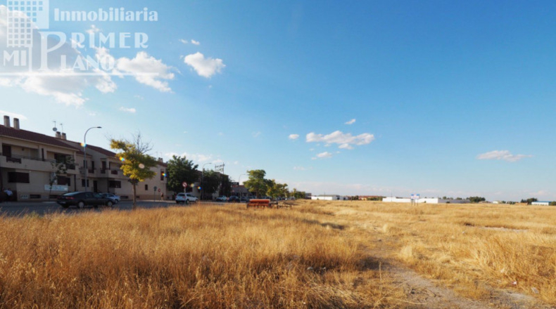 Ciudad Real - Tomelloso - 1825m2