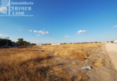 Non-developable land for sale on España, Tomelloso, ref: TR118367 photo