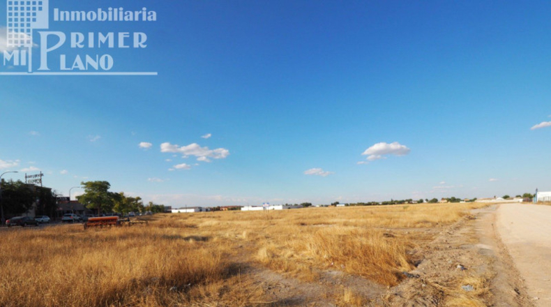 Ciudad Real - Tomelloso - 1825m2