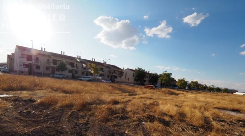 Ciudad Real - Tomelloso - 1825m2