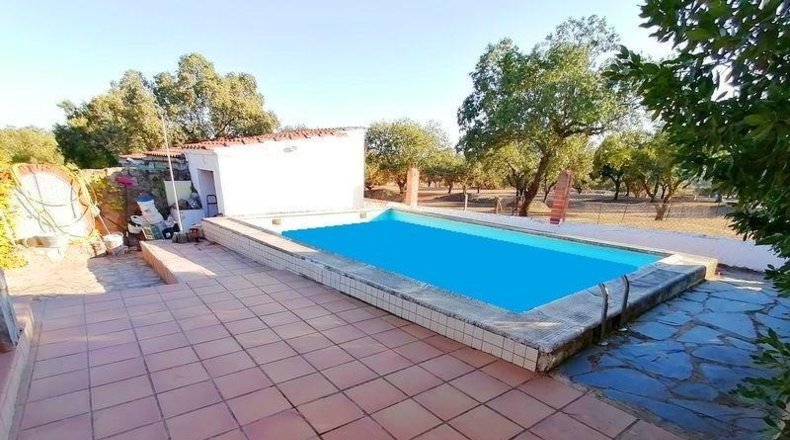 Cáceres - Cáceres - 2600m2