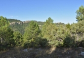Detached villa with land for sale on España, Beceite, ref: TR216545 photo