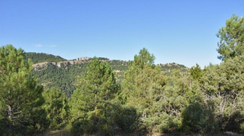 Teruel - Beceite - 826214m2