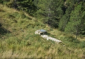 Detached villa with land for sale on España, Beceite, ref: TR216545 photo