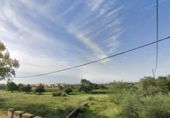 Terreny no urbanitzable en venda a la España, Castelló de la Plana, ref.: TR236929 foto