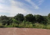 Terreny no urbanitzable en venda a la España, Castelló de la Plana, ref.: TR236929 foto
