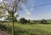Terreny no urbanitzable en venda a la España, Castelló de la Plana, ref.: TR236929 foto