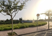 Terreny no urbanitzable en venda a la España, Castelló de la Plana, ref.: TR236929 foto