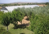 Non-developable land for sale on España, Corella, ref: TR331180 photo