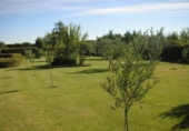 Non-developable land for sale on España, Corella, ref: TR331180 photo