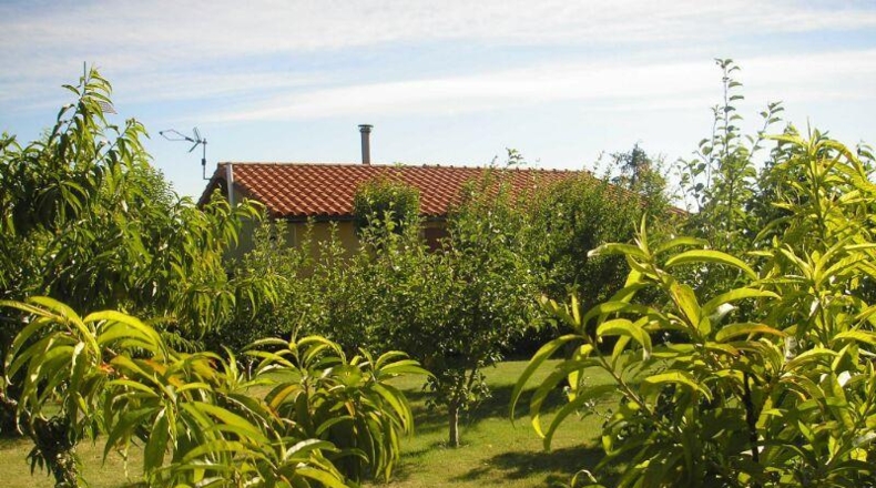 Navarra - Corella - 4500m2