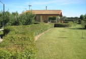 Non-developable land for sale on España, Corella, ref: TR331180 photo