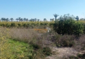 Terreno no urbanizable en venta en la España, Elche, ref: TR355391 foto
