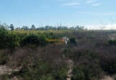 Terreno no urbanizable en venta en la España, Elche, ref: TR355391 foto
