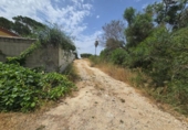 Дом с участком на продажу в городе Chiclana de la Frontera Фото